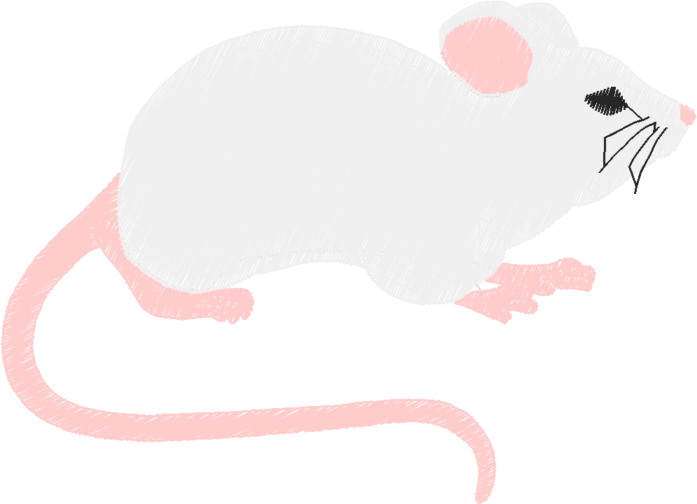 Animals 30 - Wildlife 10 (27)