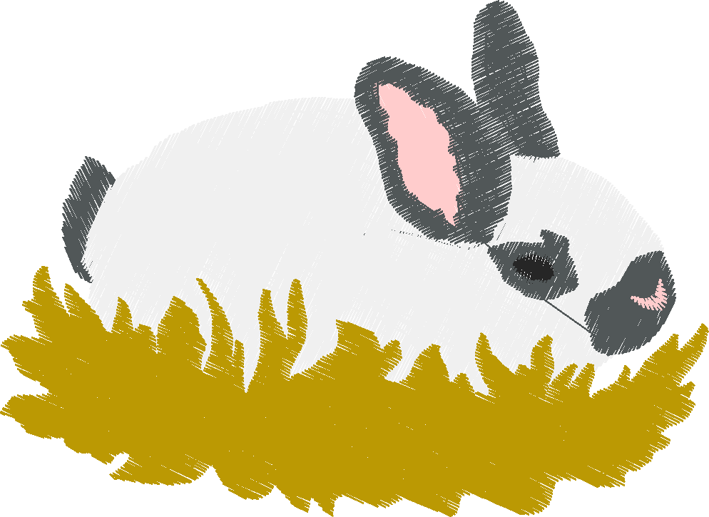 Animals 30 - Wildlife 10 (29)