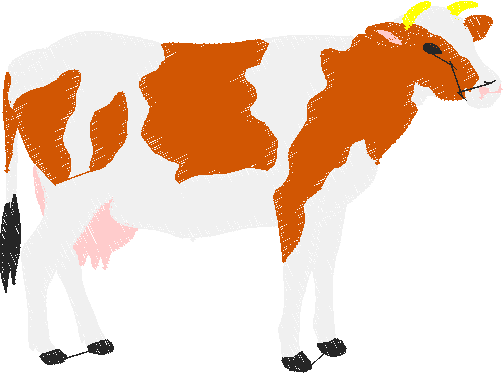 Animals 30 - Wildlife 10 (3)