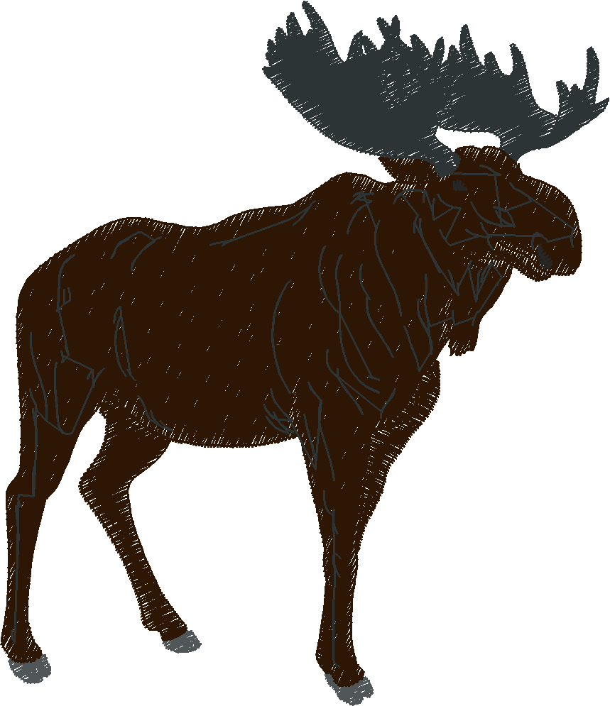 Animals 30 - Wildlife 10 (32)