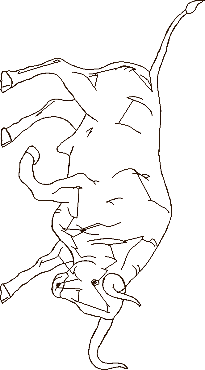 Animals 30 - Wildlife 10 (34)