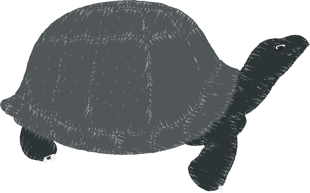 Animals 30 - Wildlife 10 (35)