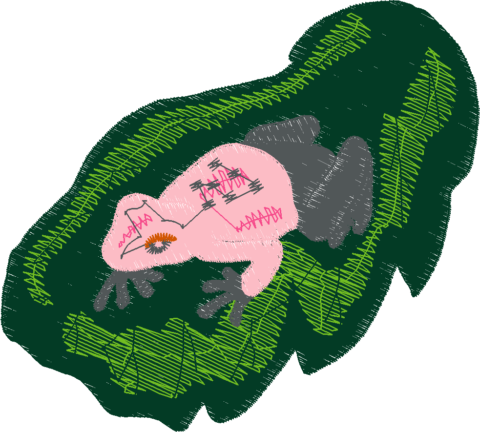 Animals 30 - Wildlife 10 (41)