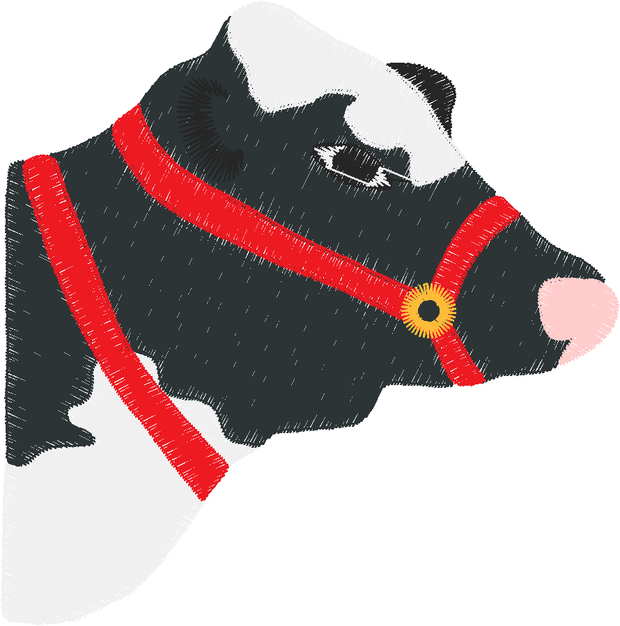 Animals 30 - Wildlife 10 (43)