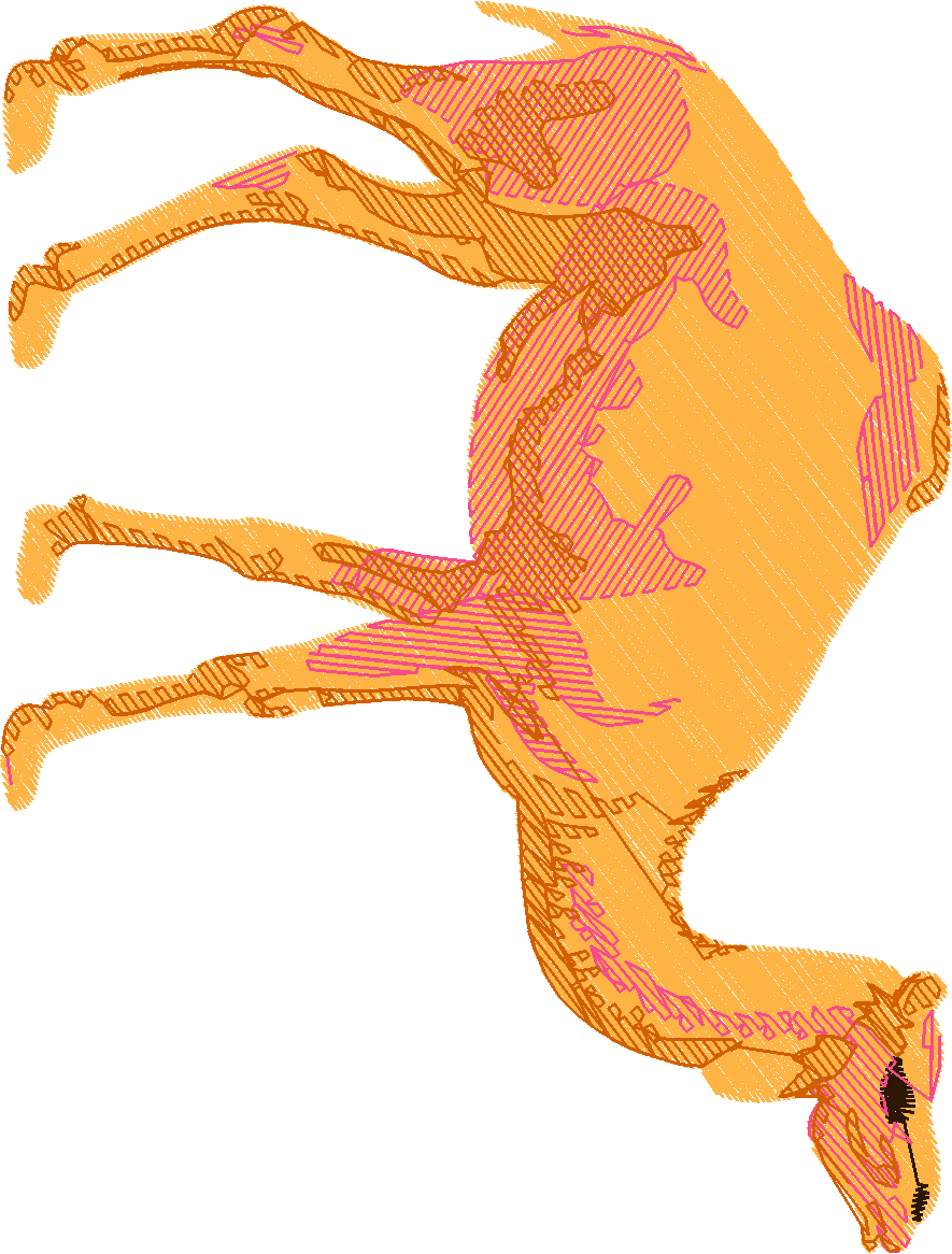 Animals 30 - Wildlife 10 (46)