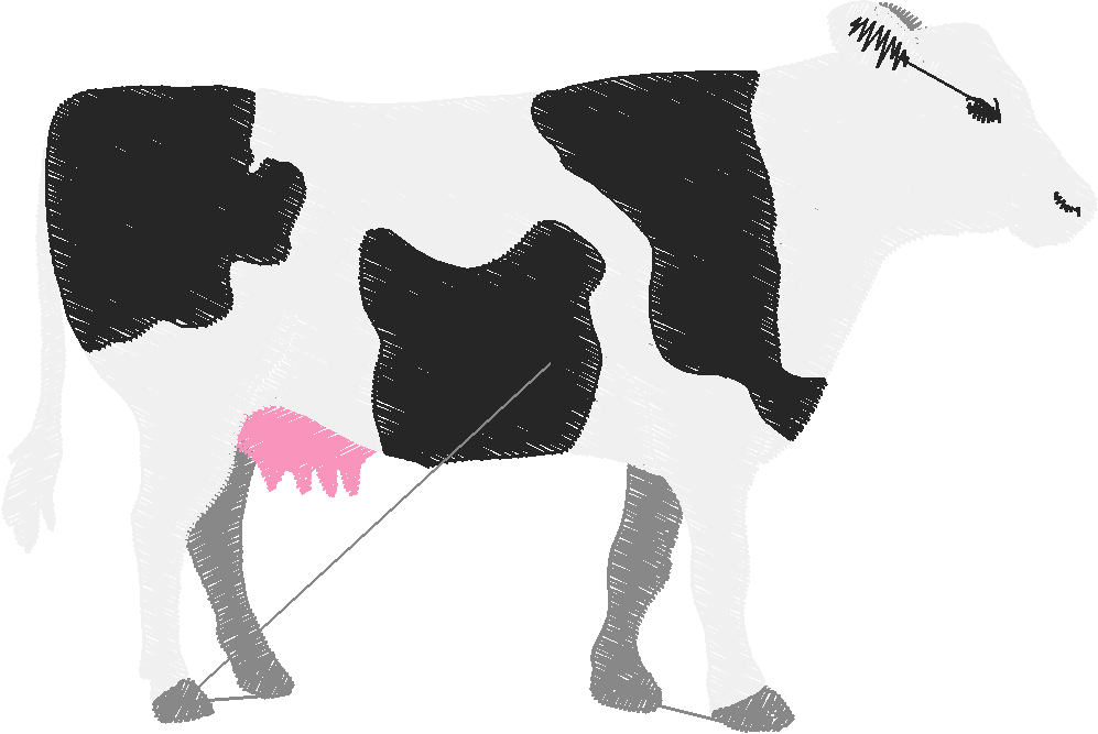 Animals 30 - Wildlife 10 (49)