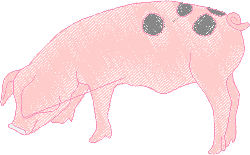 Animals 30 - Wildlife 10 (50)