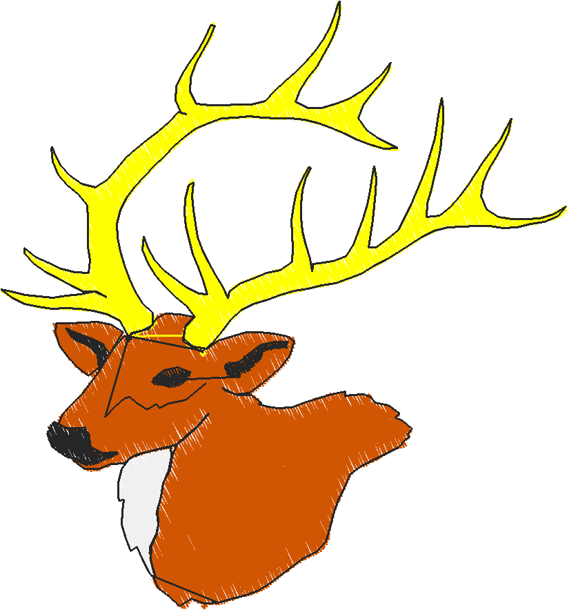 Animals 30 - Wildlife 10 (9)