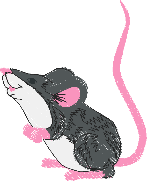 Animals 9 - Farm Yard 1  (5)