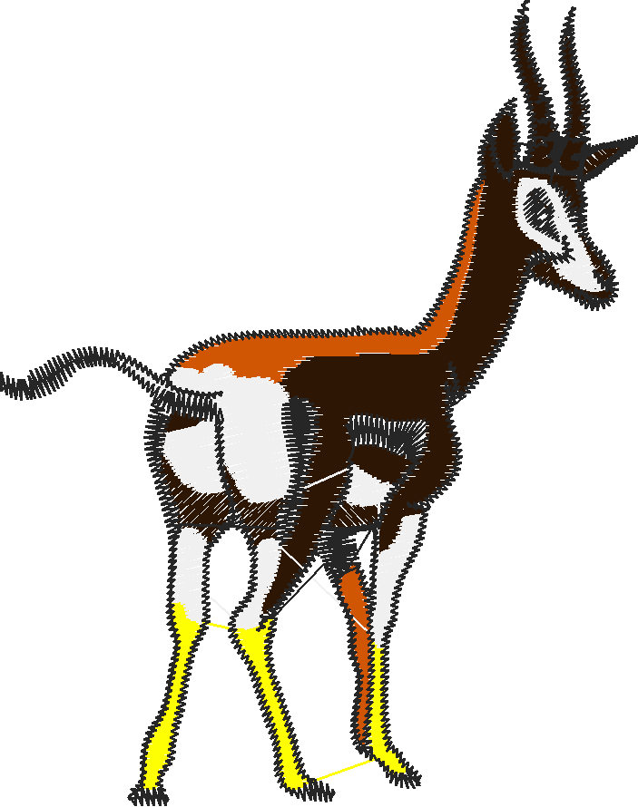 Animals Of The World 1 (15)