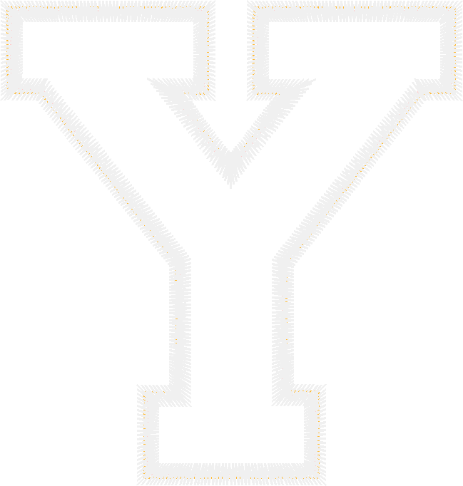 Applique - Alphabet 1  (25)