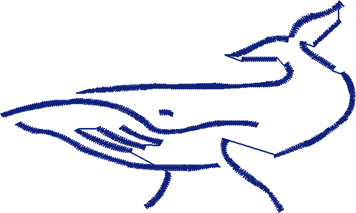 Whale Icon