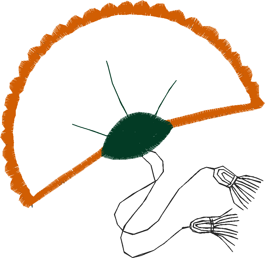 Applique - Favourites (17)