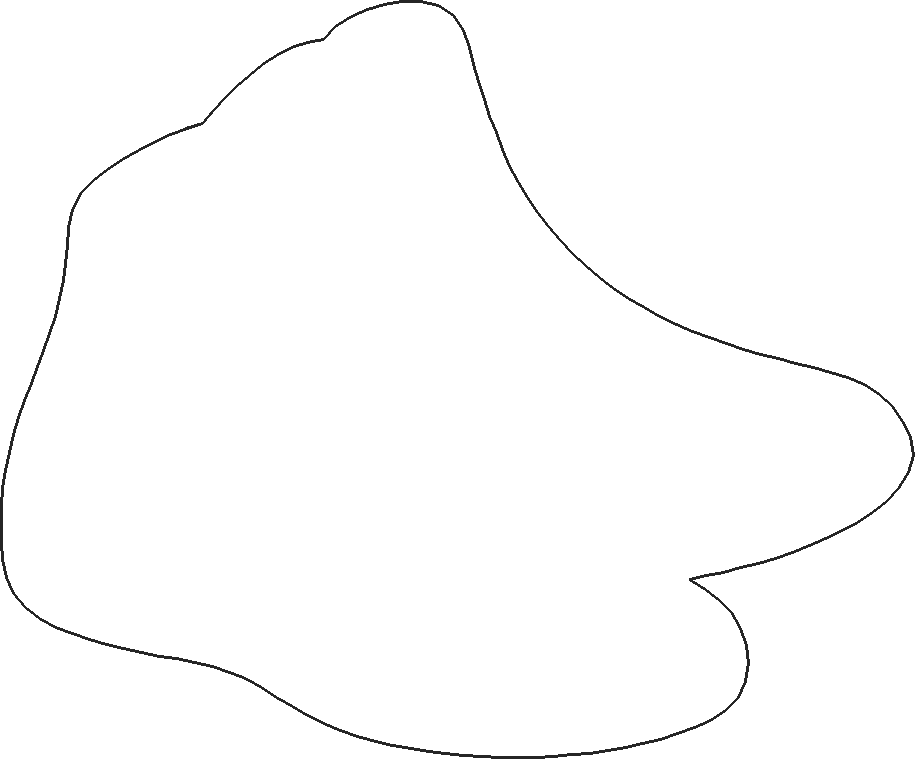 Applique- Ice Saktes (1)