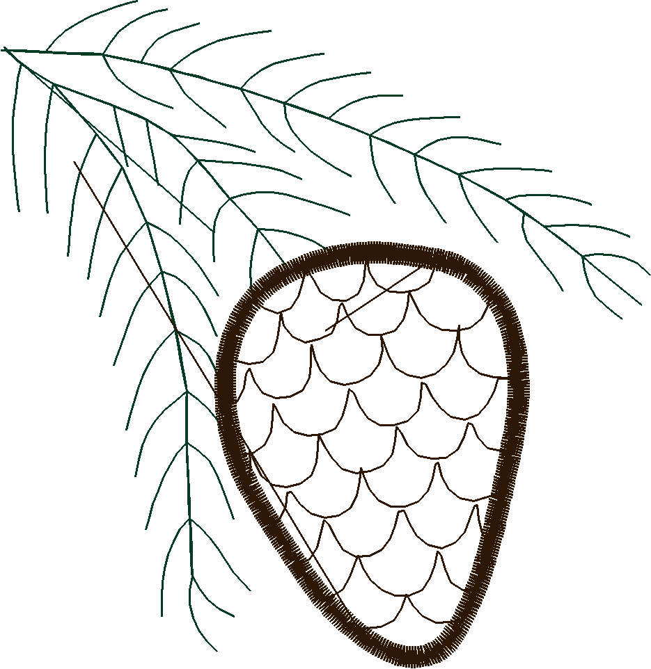 Applique - Mary Mulari  (27)