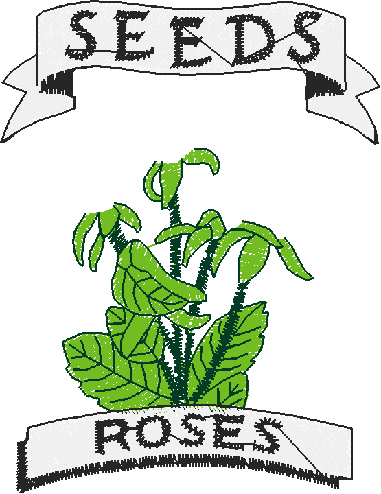 Applique - Seed Pack 01 (20)