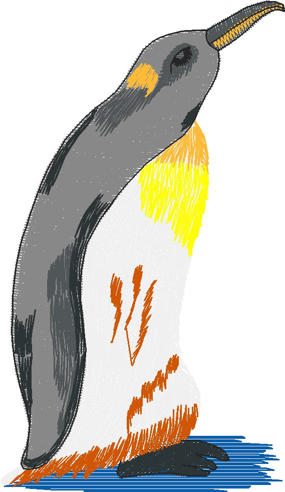 Arctic Animals 1 (11)