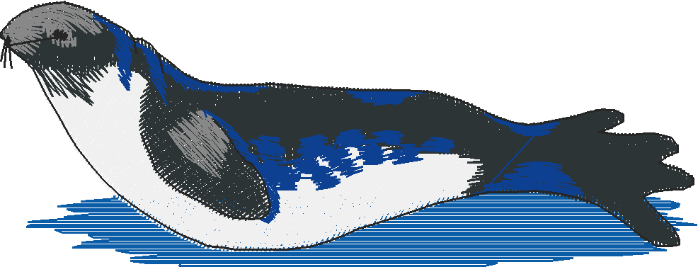 Arctic Animals 1 (3)