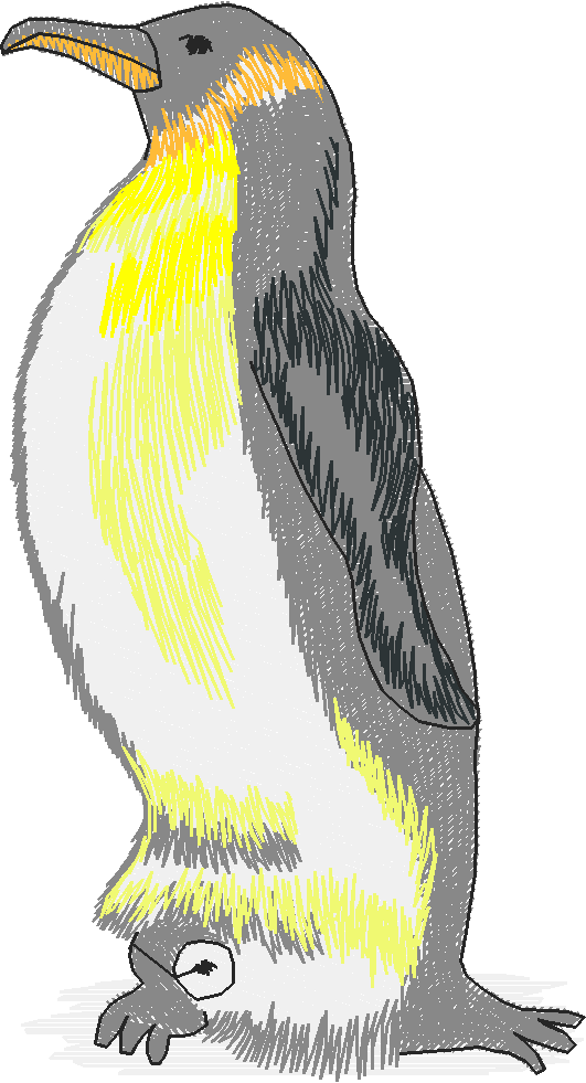 Arctic Animals 1 (4)