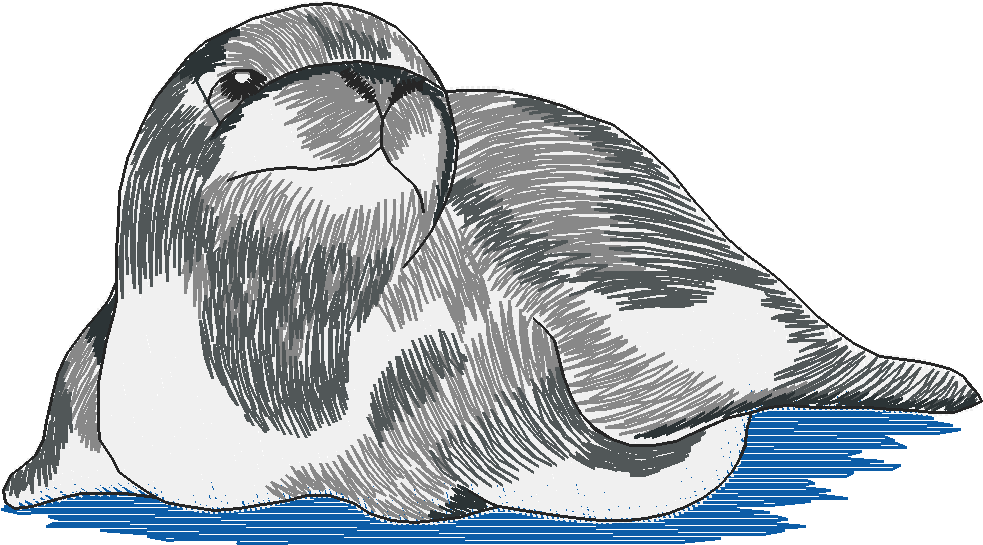 Arctic Animals 1 (6)