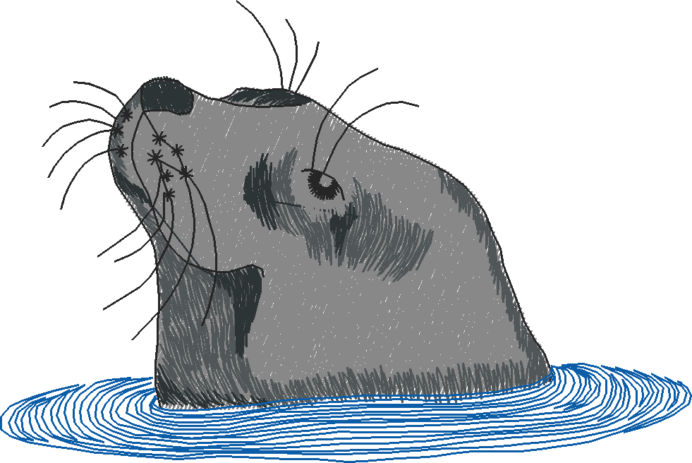 Arctic Animals 1 (9)