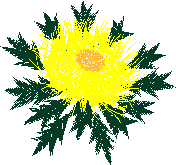 Around The World 1 (16)