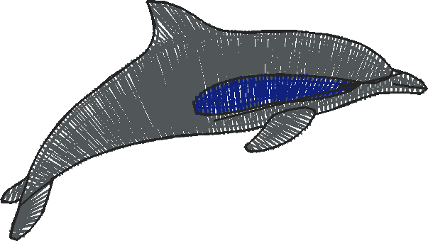 Around The World 1 (90)