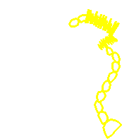 Around The World 2 (25)