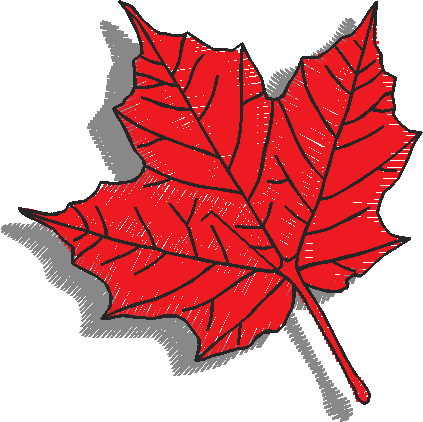 Around The World 2 (27)