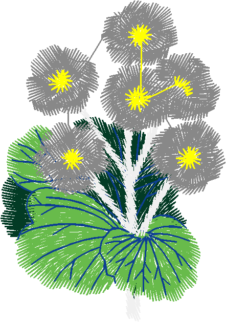 Around The World 2 (35)