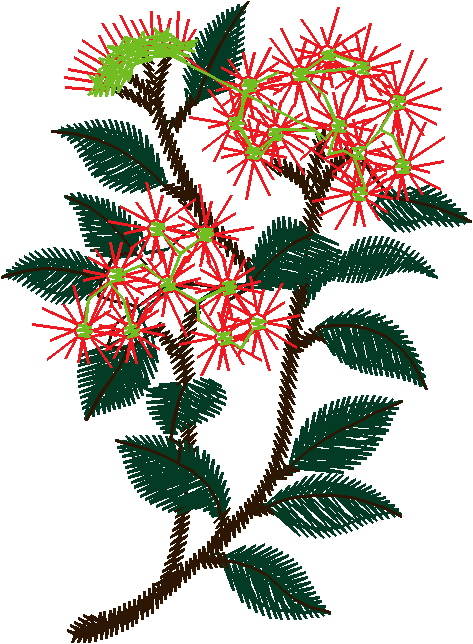 Around The World 2 (36)