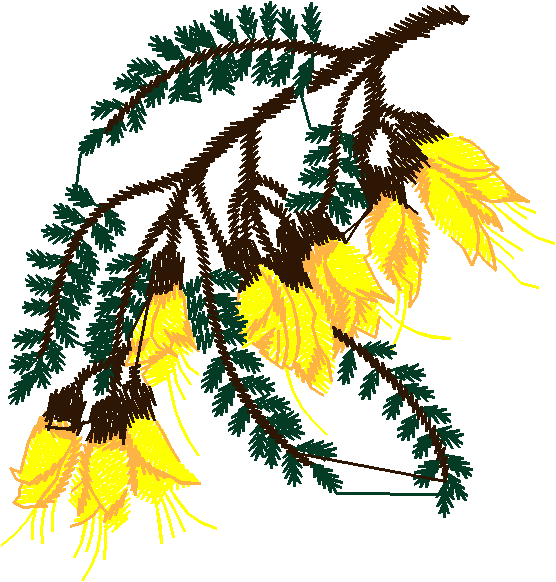 Around The World 2 (37)