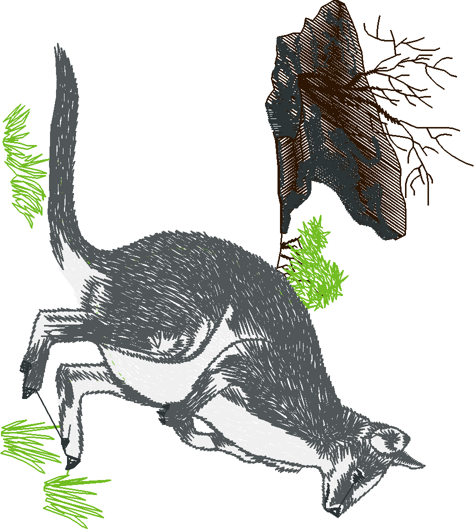 Around The World 2 (72)