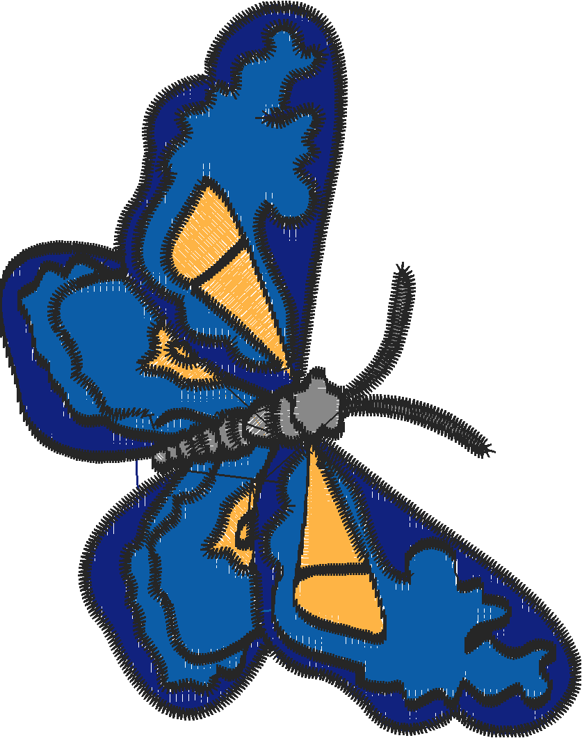 Butterfly2