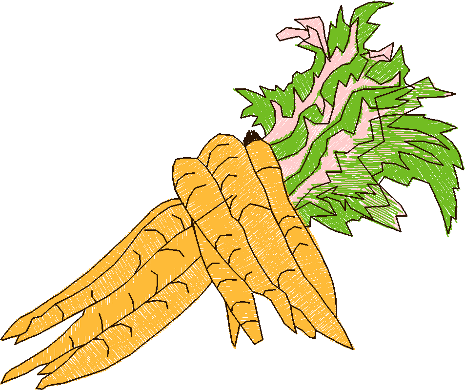 Carrots