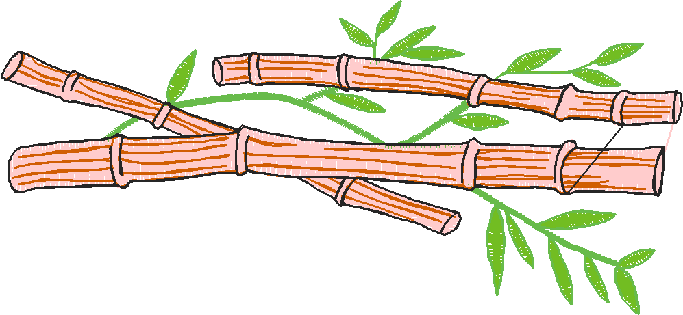 Asian Home Decor 2  (7)