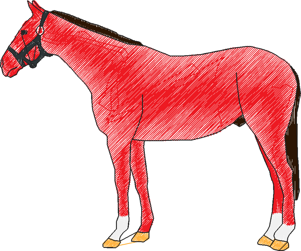 Horse1_rh