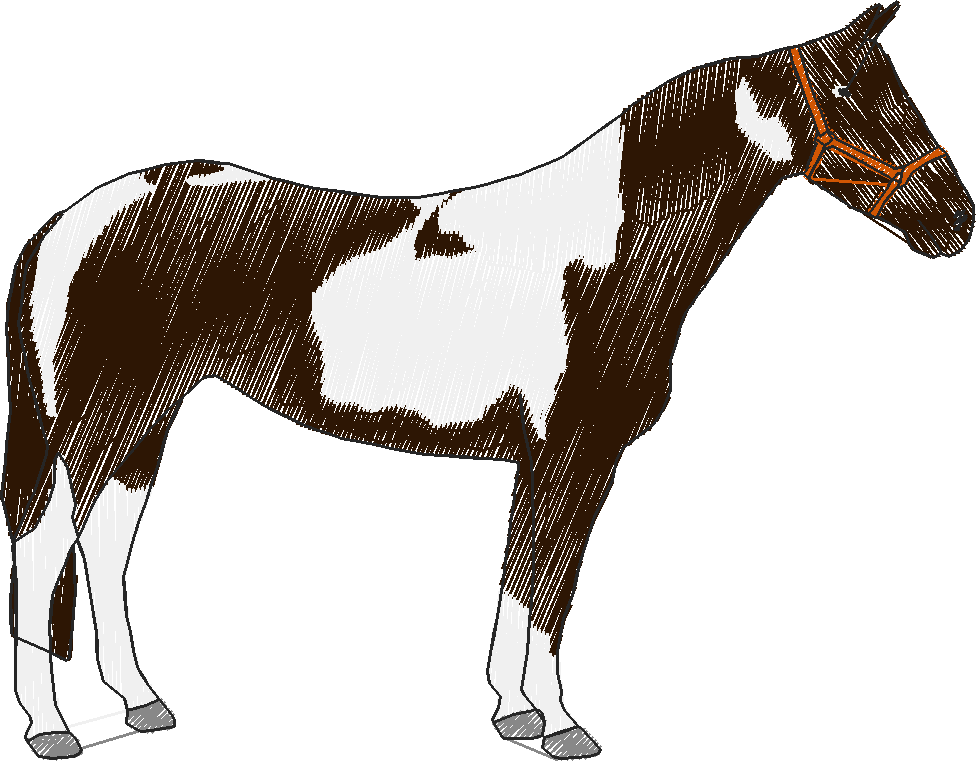 Horse3_rh