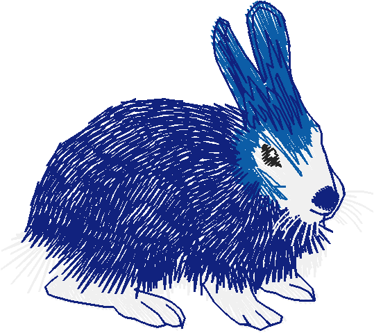 Rabbita