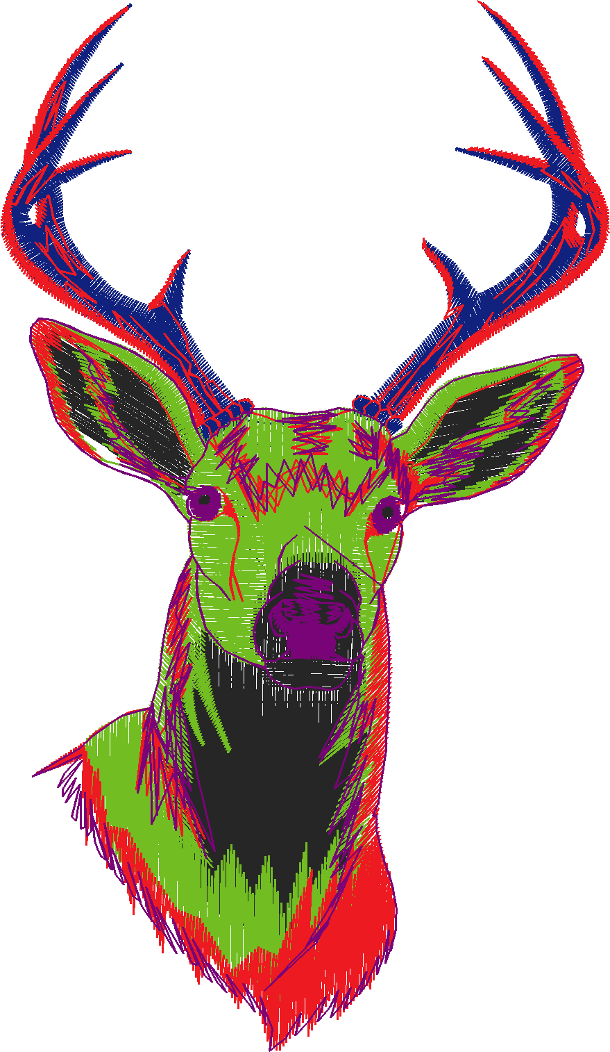 Deer