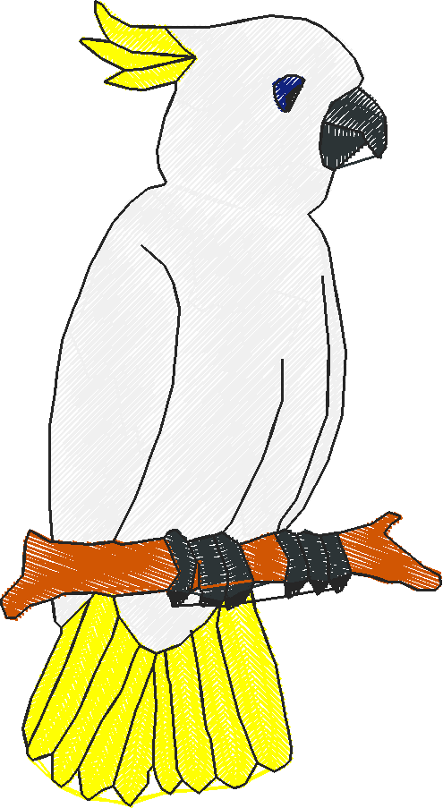 Cockatoo