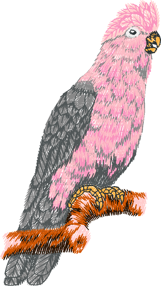 Australian Animals 1 (11)