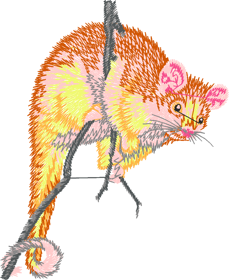 Australian Animals 1 (13)