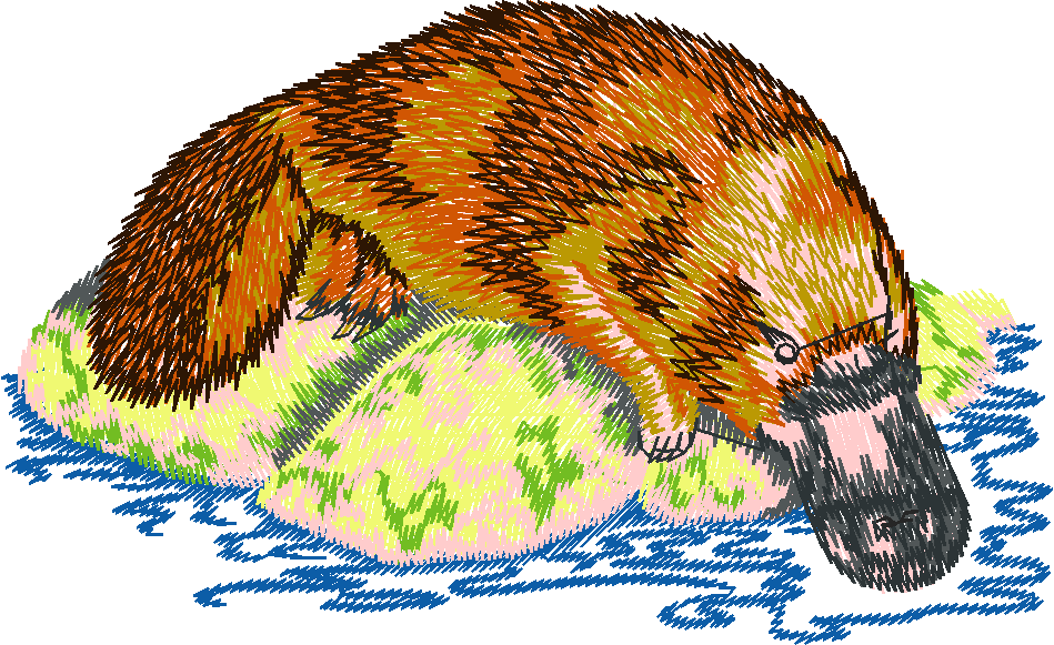 Australian Animals 1 (4)