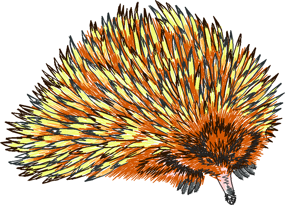 Australian Animals 1 (5)