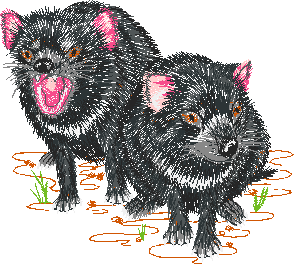 Australian Animals 1 (8)