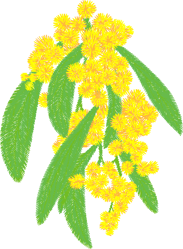 Austrialian Flowers 1 (1)