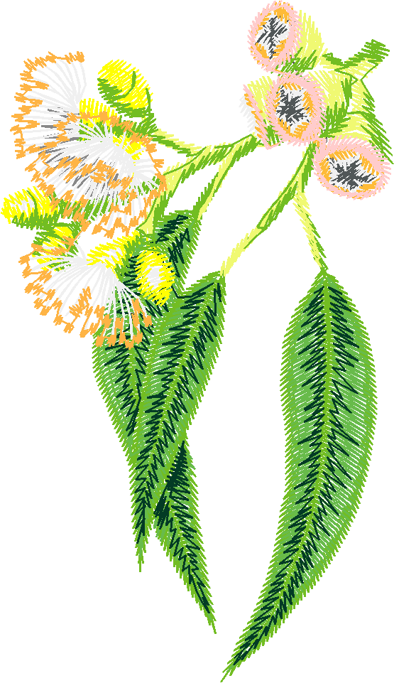 Austrialian Flowers 1 (10)