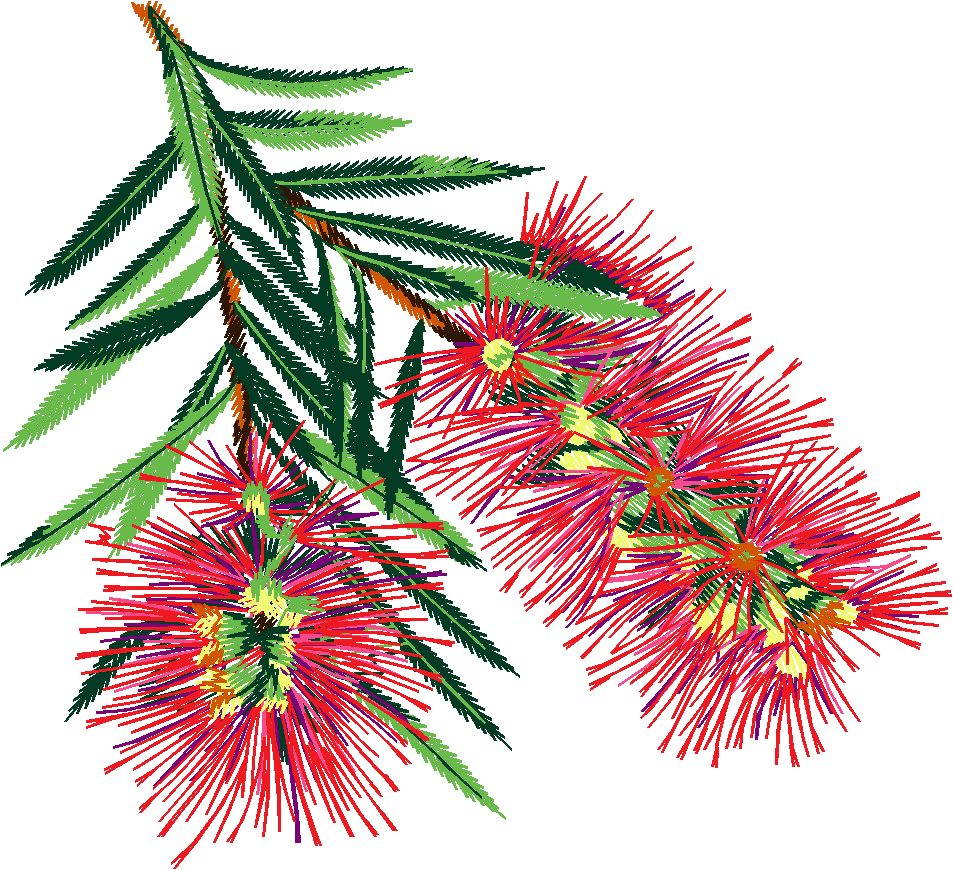 Austrialian Flowers 1 (11)