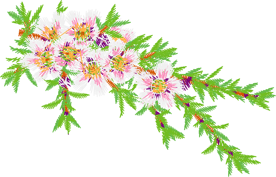 Austrialian Flowers 1 (12)